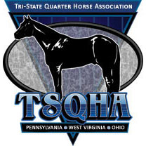 TSQHA