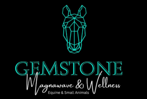 Gemstone Magnawave & Wellness